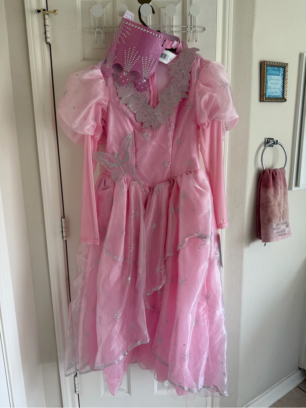Pink Glena Princess Dress Costume with Tiara - ADULT Costume